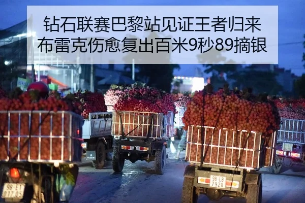 钻石联赛巴黎站见证王者归来 布雷克伤愈复出百米9秒89摘银
